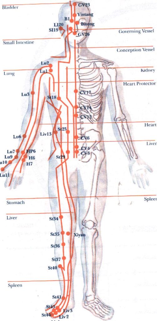 La Tai Chi Workshop Reminder: Breathing And Qi Flow In Meridians - Los 